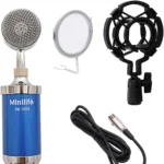 BM-3000 Large-Diaphragm Condenser Microphone